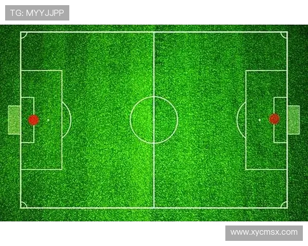 探索当代杰出足球运动员成长之路与赛场风采全景深度解析全貌研究