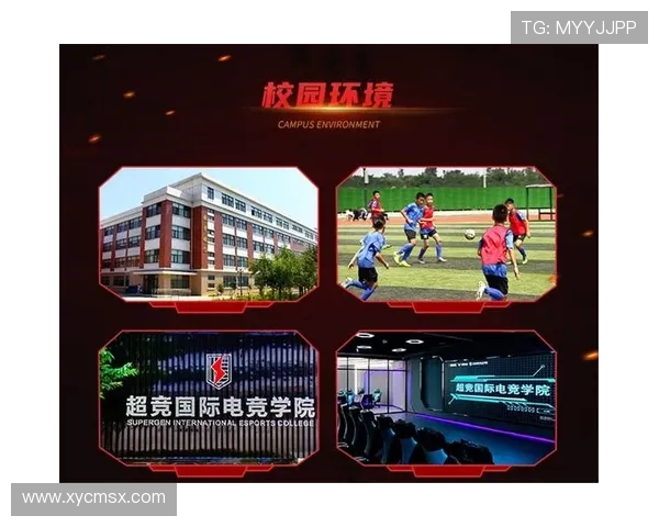 电子竞技为中心拓展全球赛事生态与青年文化融合发展趋势研究深度探索