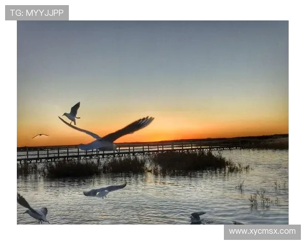 全国街舞大赛特别报道：上海极限运动队的拼搏历程与梦想追逐