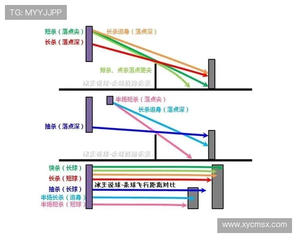 成都篮球队的节奏分析与战术演变探讨