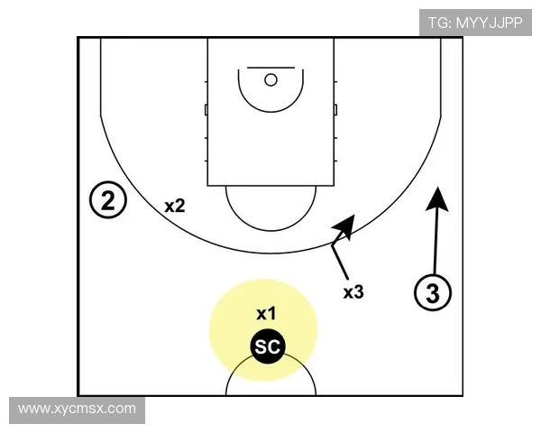 深入分析成都篮球队的盯防战术及其在比赛中的应用效果