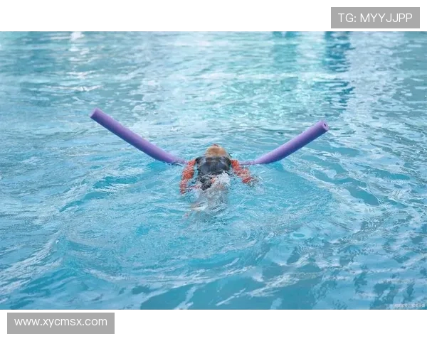 施廷懋以坚韧与荣耀谱写中国跳水辉煌传奇之路