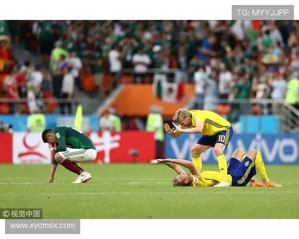 墨西哥与瑞典精彩对决全场录像回放及精彩瞬间分析